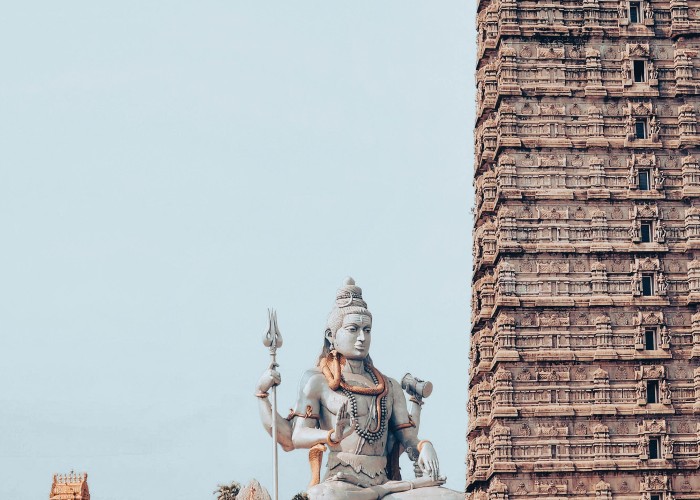 1750266107-pexels-manojmanohar-18490263 (1).jpg